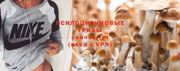 прущие крисы Надым